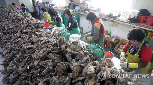 영양 가득한 통영 굴