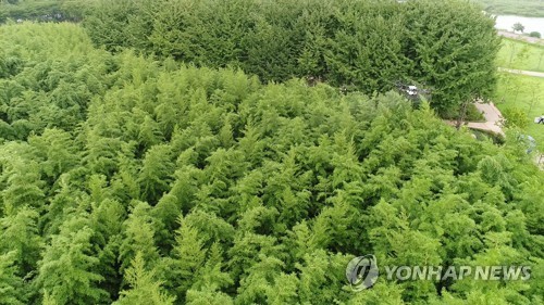 AI 없는 청정울산 드론까지 나섰다