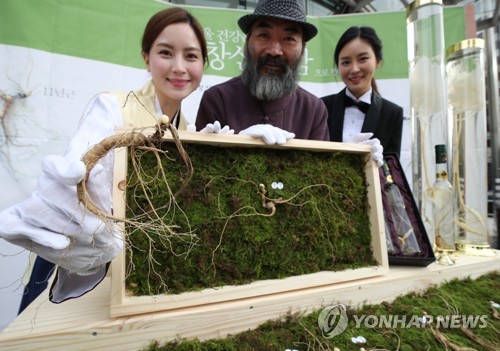 평창산양삼으로 건강한 겨울 보내세요