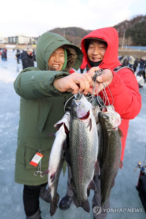 평창송어축제 얼음낚시