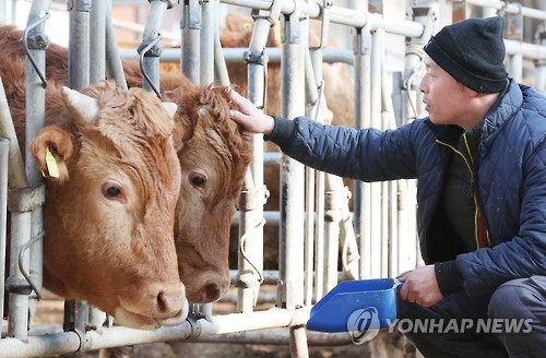 경기도, 올해 축산 경쟁력 강화에 1천264억 쓴다