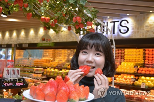 대왕딸기 킹스베리