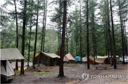 경기도, 안전한 캠핑 문화 위해 우수야영장 지정