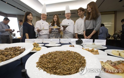 옥천군 미래 식량자원 곤충산업 지원 적극 나선다