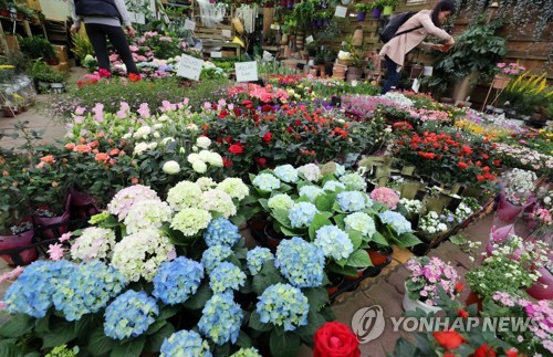 봄맞이 꽃단장