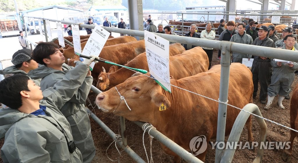 활기 되찾은 우시장