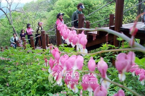 우리 식물 보러오세요…완주 대아수목원서 사진 전시회