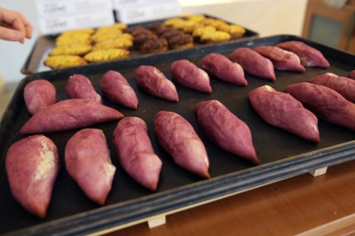 달콤한 맛에 보는 재미까지…해남 고구마빵 인기몰이