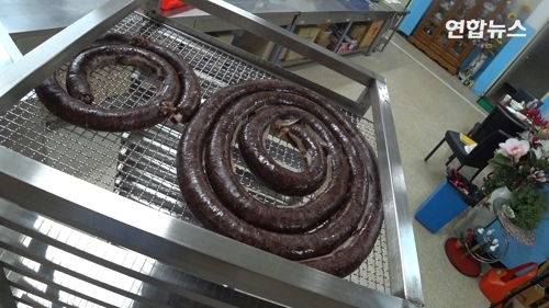 [VR현장] 북한음식 명인이 만든 평양냉면 맛보세요