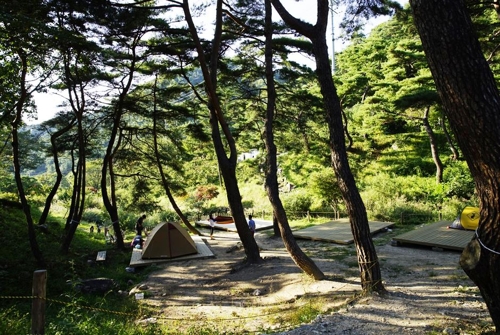 무더위 피하자…경관 빼어난 자연 속 야영장 인기