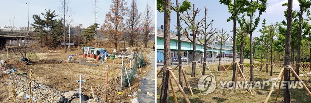 수원신갈IC주변 유휴지에 생태숲 조성