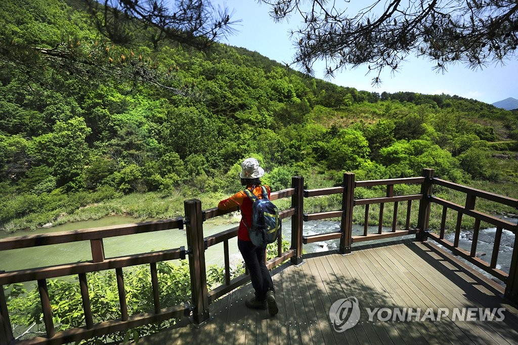 전망대