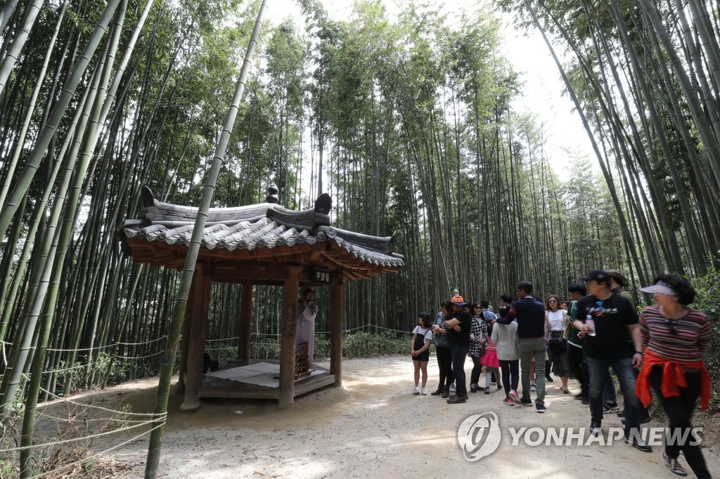 담양 대나무숲