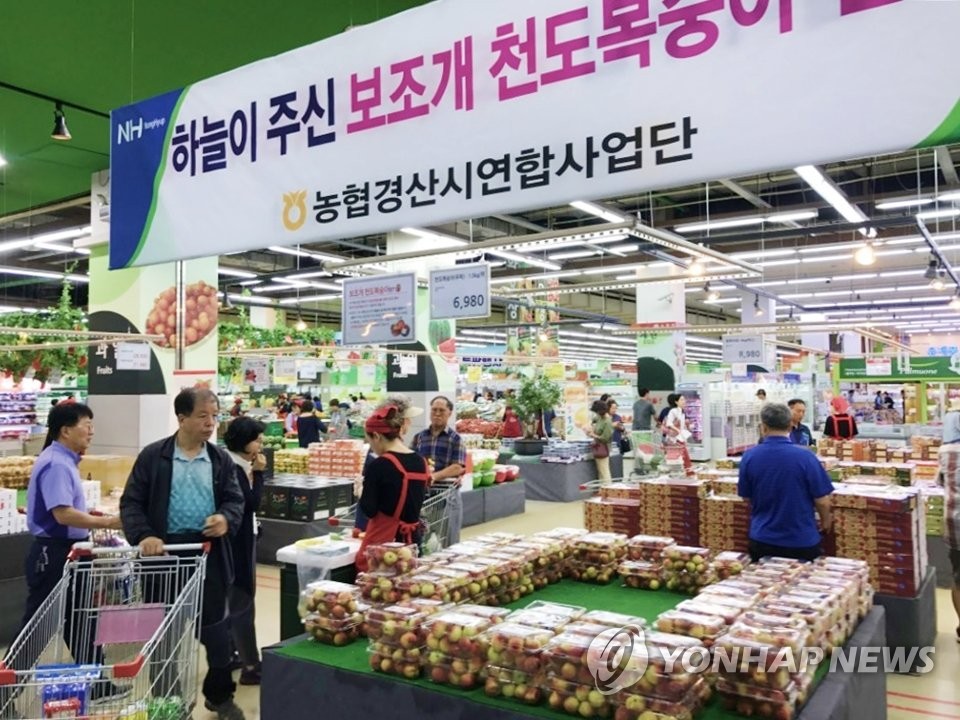 농협 하나로마트, 경산 천도복숭아 판매행사 실시
