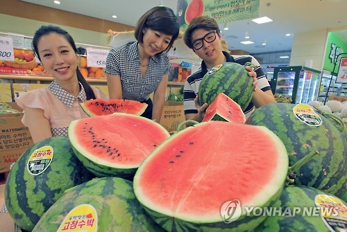 '고창의 명물' 복분자와 수박을 한 자리에서…22일부터 축제