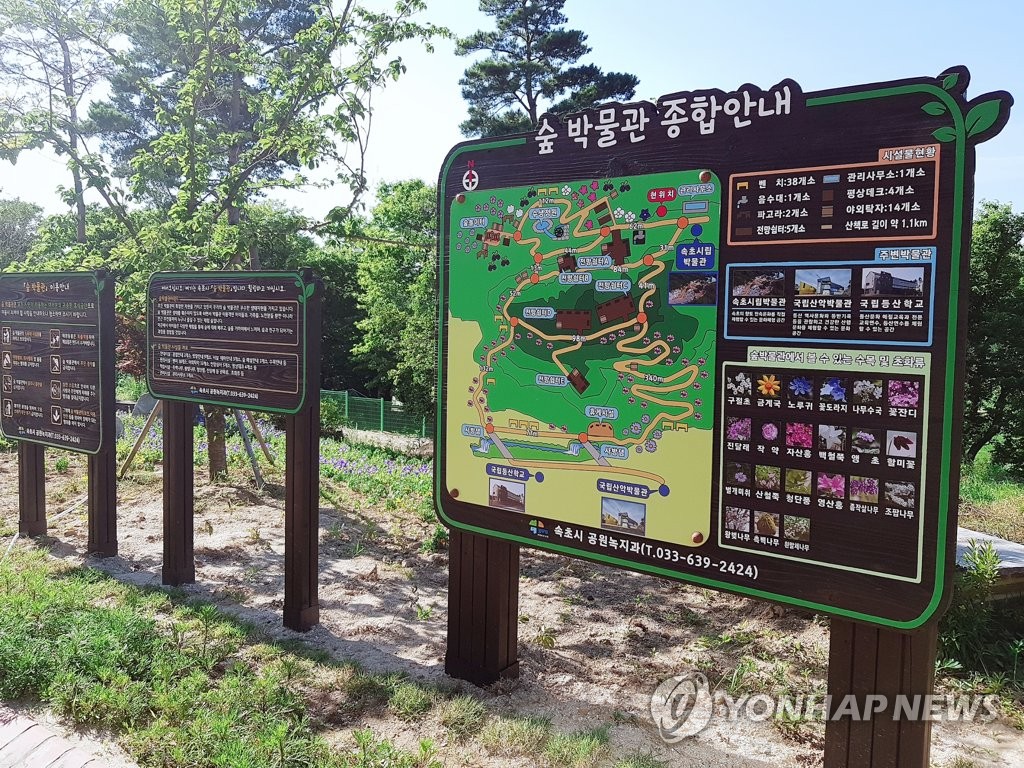속초 숲 박물관 개장