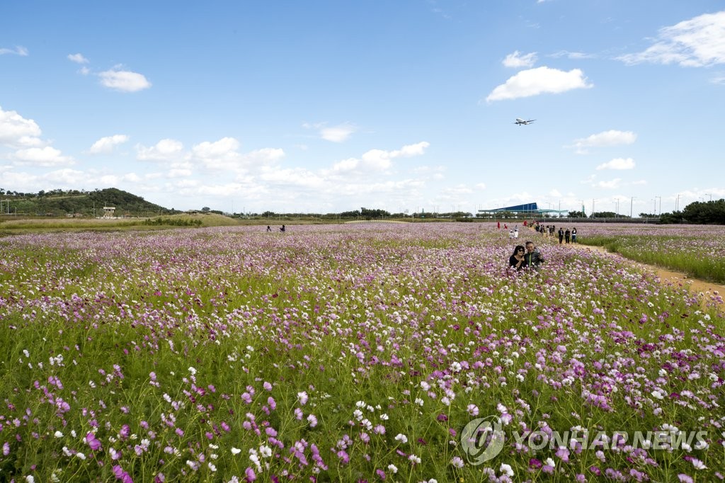 인천공항 하늘정원에서 가을정취 만끽하세요