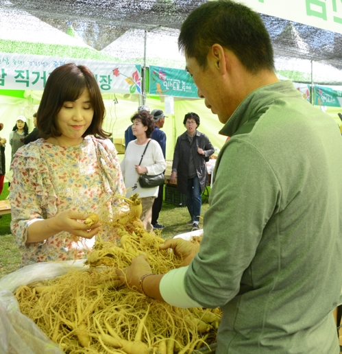 홍삼 포크 삼겹살 드시러 오세요…증평 인삼골축제 팡파르
