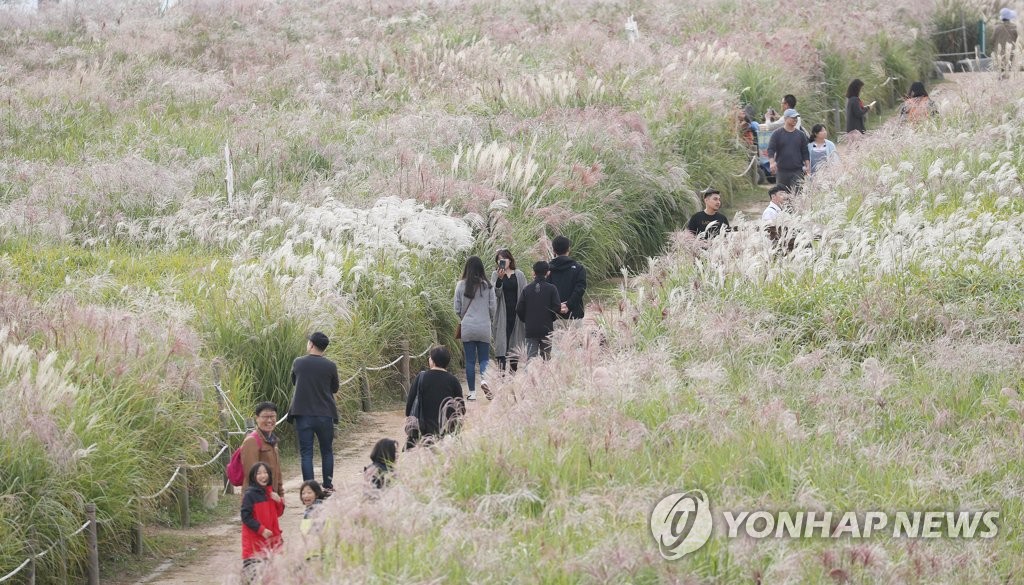 깊어가는 가을 정취