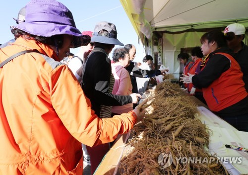 고려인삼 명맥 잇는 파주 개성인삼축제 개막