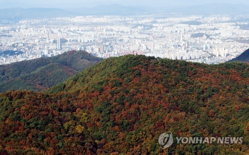 단풍·억새가 장관 무등산 정상 개방 행사에 등산객 북적