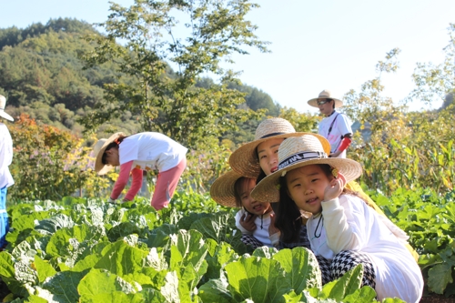 [길따라 멋따라] 이 가을이 가기 전에, 추천 농촌체험휴양마을 5선