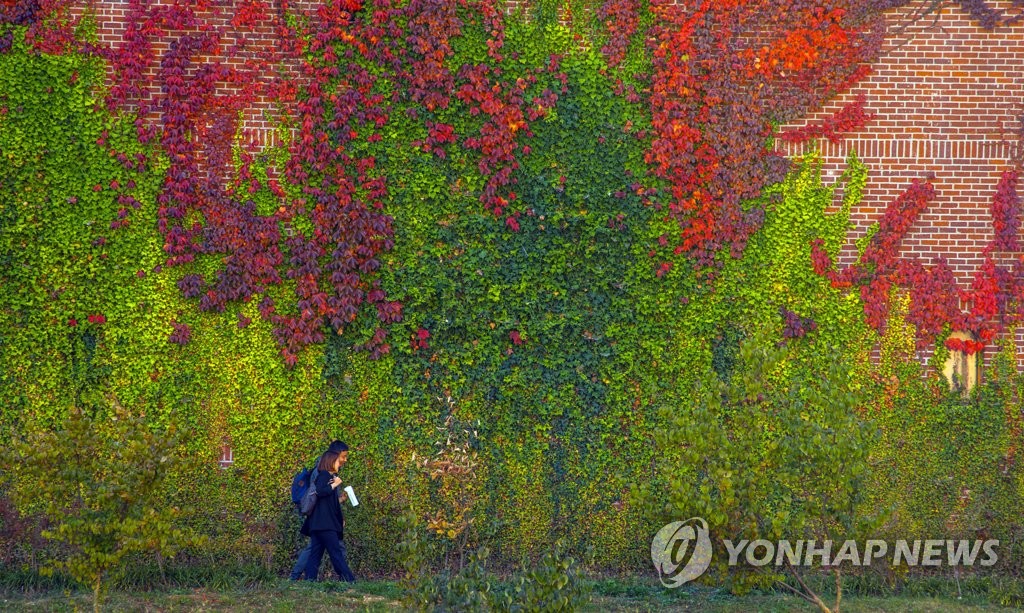 가을 깊어가는 캠퍼스