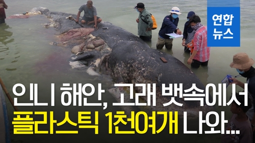 [영상] 인도네시아 해안, 고래 뱃속에서 발견된 플라스틱 1천여개