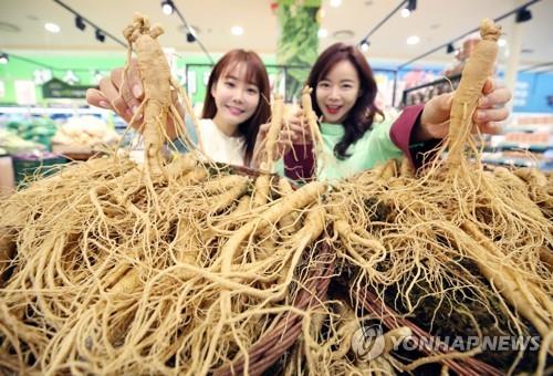 금산인삼 안전성 향상 기반구축 활기…3개 GAP 인증사업 본궤도