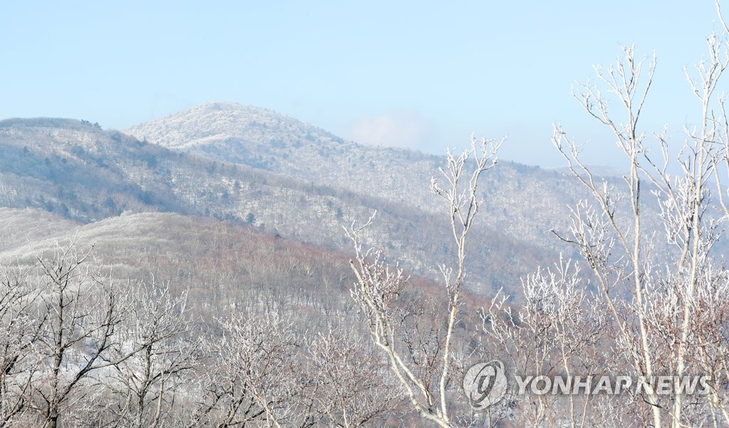 눈꽃 입은 가리왕산