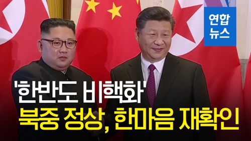 [영상] 북중 정상, 4차 회담서 한반도 비핵화 '한마음'