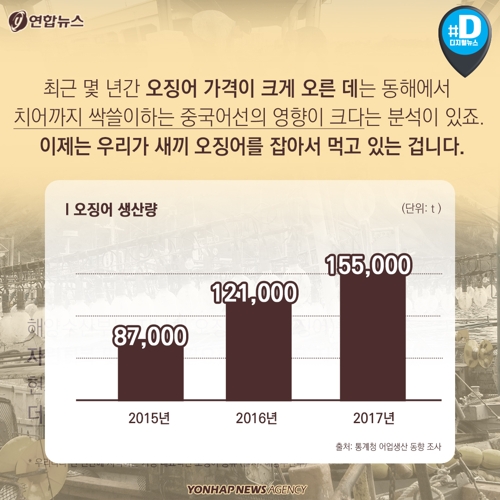 [카드뉴스] 오징어 풍어라는데 왜 여전히 비싼가요?
