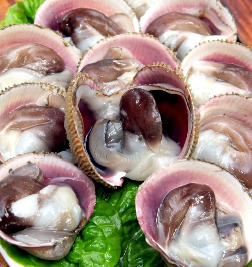 겨울별미 새조개 맛보세요 홍성 남당항서 내달 1~17일 축제