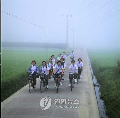 자전거 도시 상주서 45% 충돌사고 경험