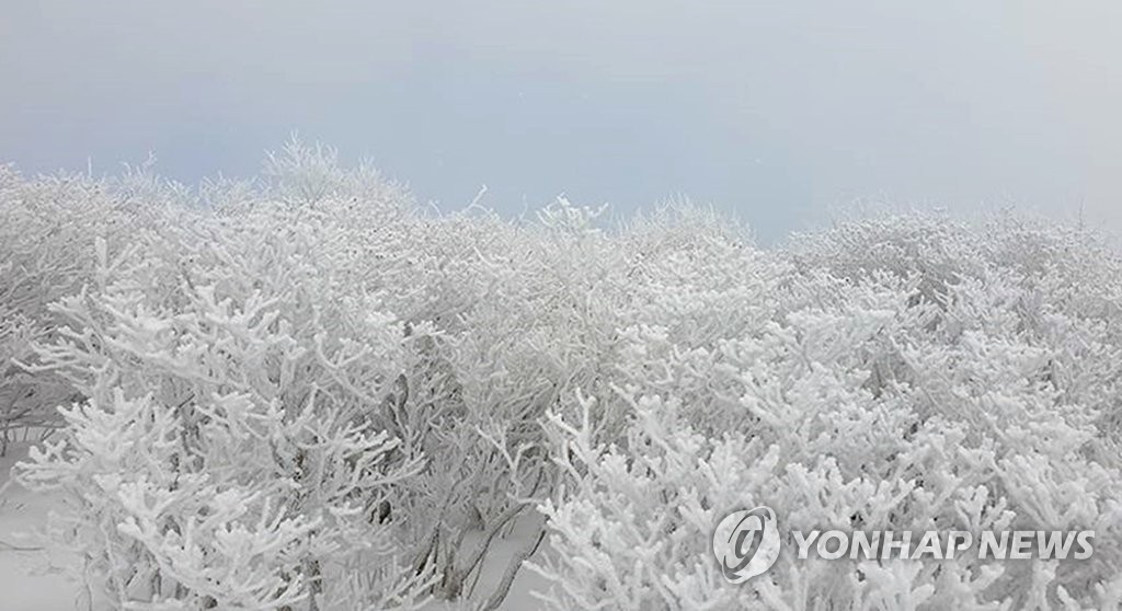 은빛세상으로 변한 태백산