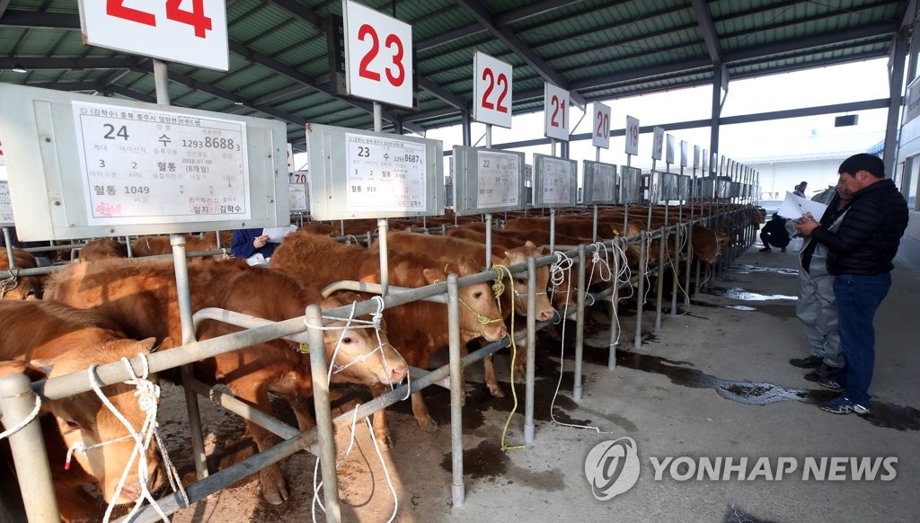 구제역 물러간 우시장 활기