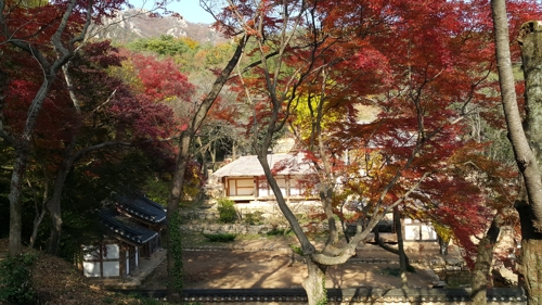 조선 문인들이 사랑한 강진 백운동원림 명승됐다