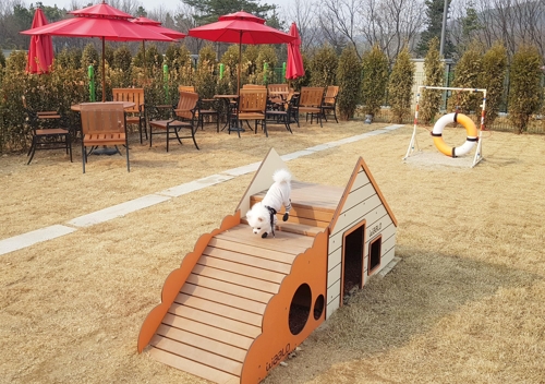 롯데 프리미엄 아울렛 기흥점, 반려동물 동반한 쇼핑 허용