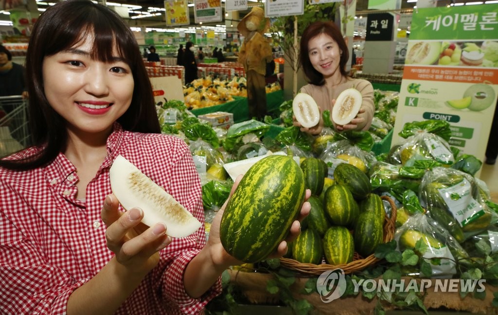 하나로클럽 파파야멜론 출시