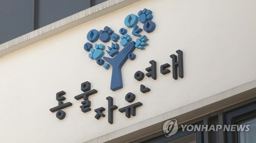 동물자유연대, 산불피해 동물 긴급구호…보호매뉴얼 없어 위험