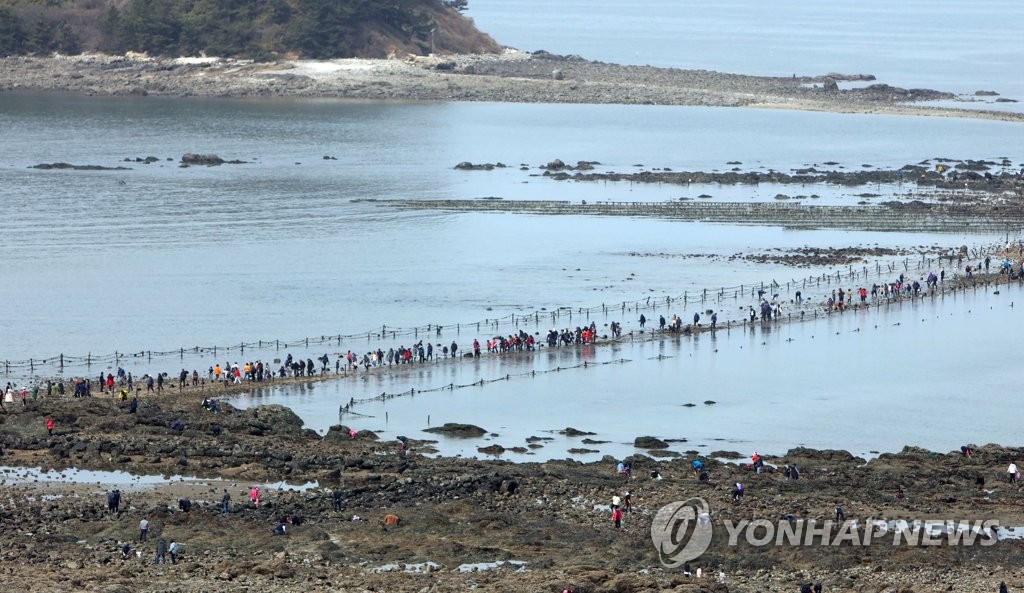 신비의 바닷길 건너는 관광객들