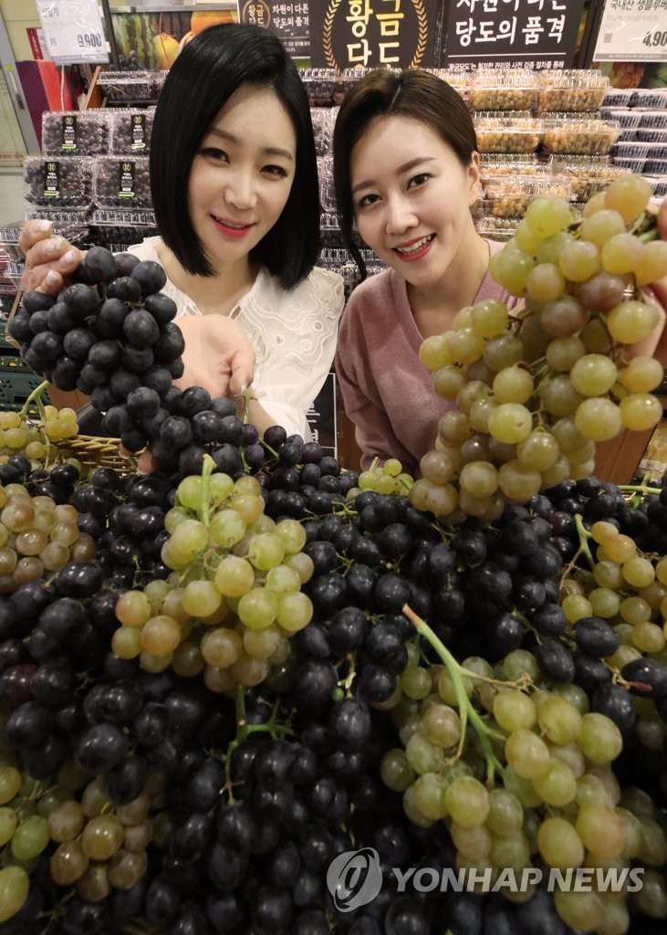 롯데마트, 칠레산 황금 당도 포도 출시