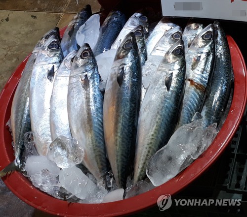 고등어는 역시 국민 생선…3년 연속 가장 좋아하는 수산물 1위