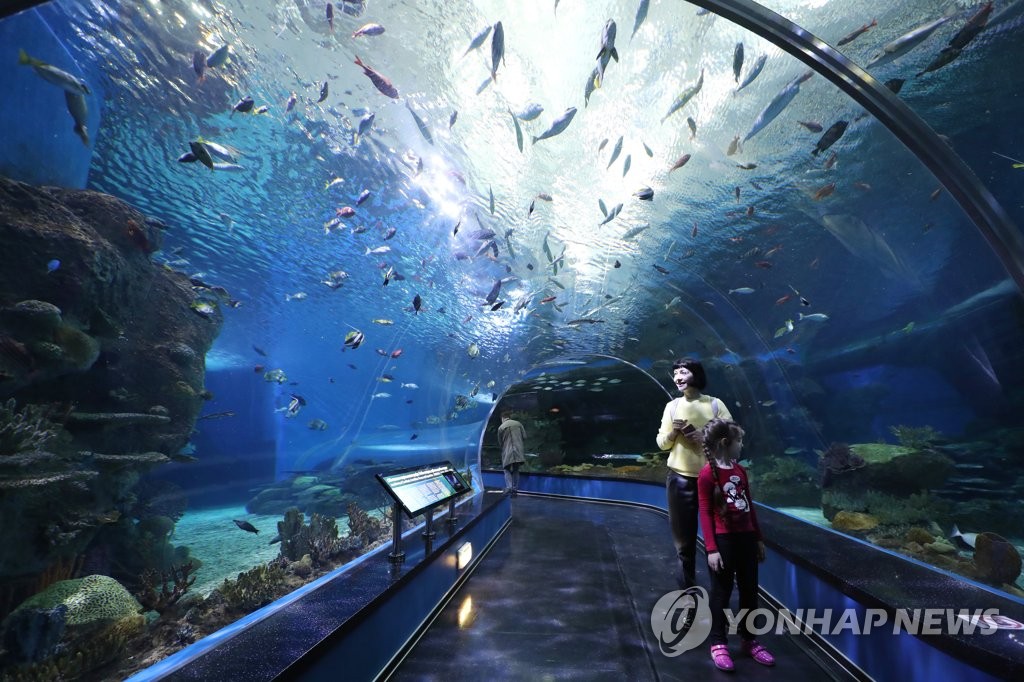 김정은 위원장, 프리모스키 수족관 방문할까?