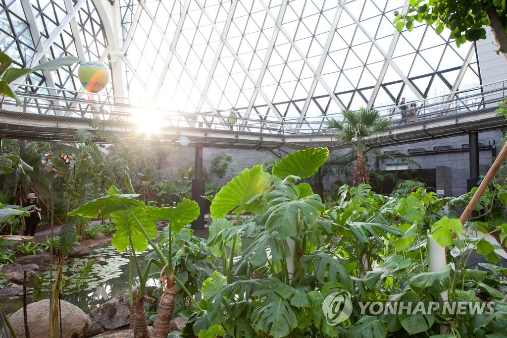 서울의 보타닉공원 서울식물원 온실 열대관