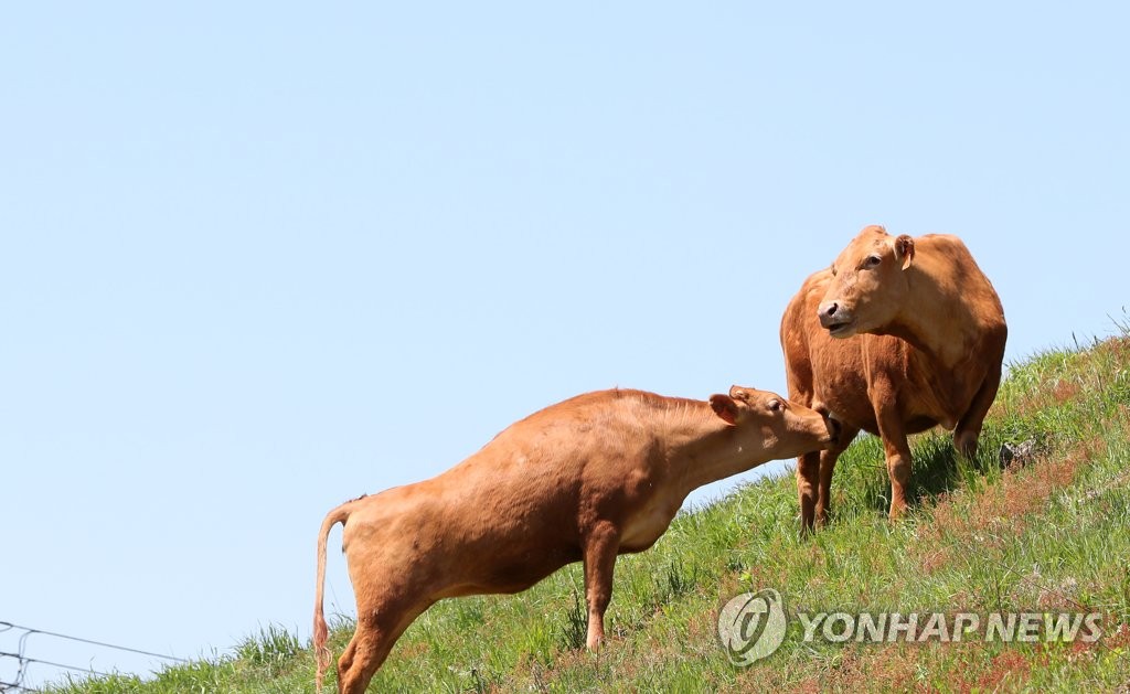 저 푸른 초원 위에