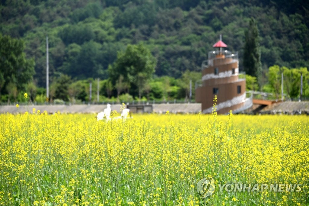 평창 노람들 일원에 아침 정원 개장