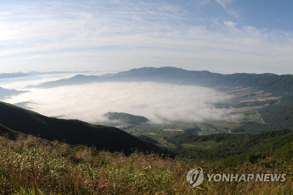 강원도 양구 DMZ 펀치볼