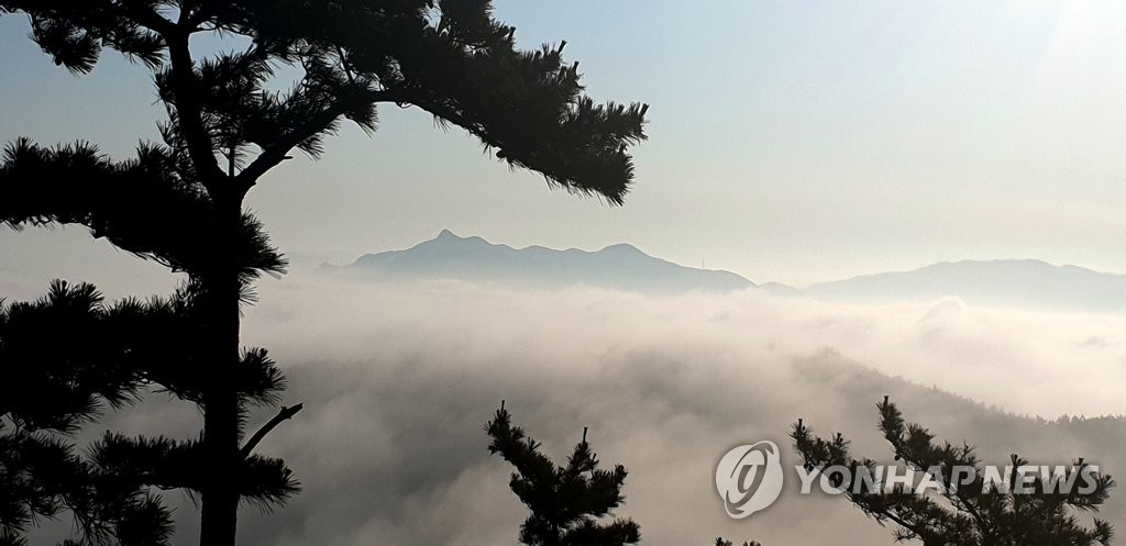 한폭의 동양화 같은 태안 백화산의 운무