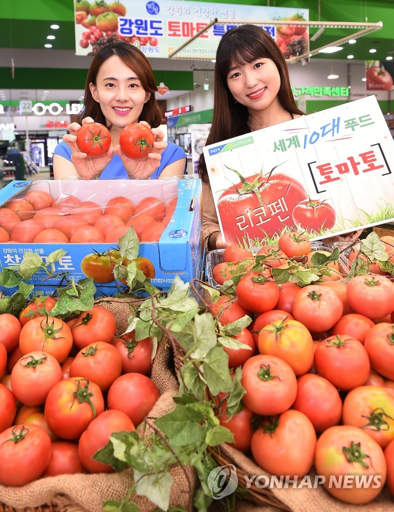 하나로마트, 고랭지 찰토마토 출하